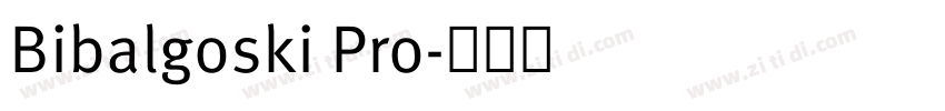 Bibalgoski Pro字体转换